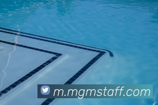 美狮美高梅mgm全站App 美狮美高梅mgm全站App